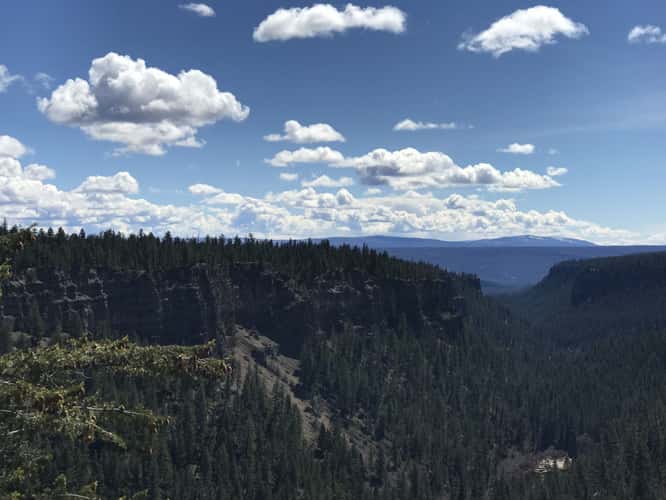 Chasm Ecological Reserve