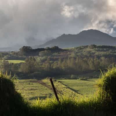 Chemin Mathias, Reunion