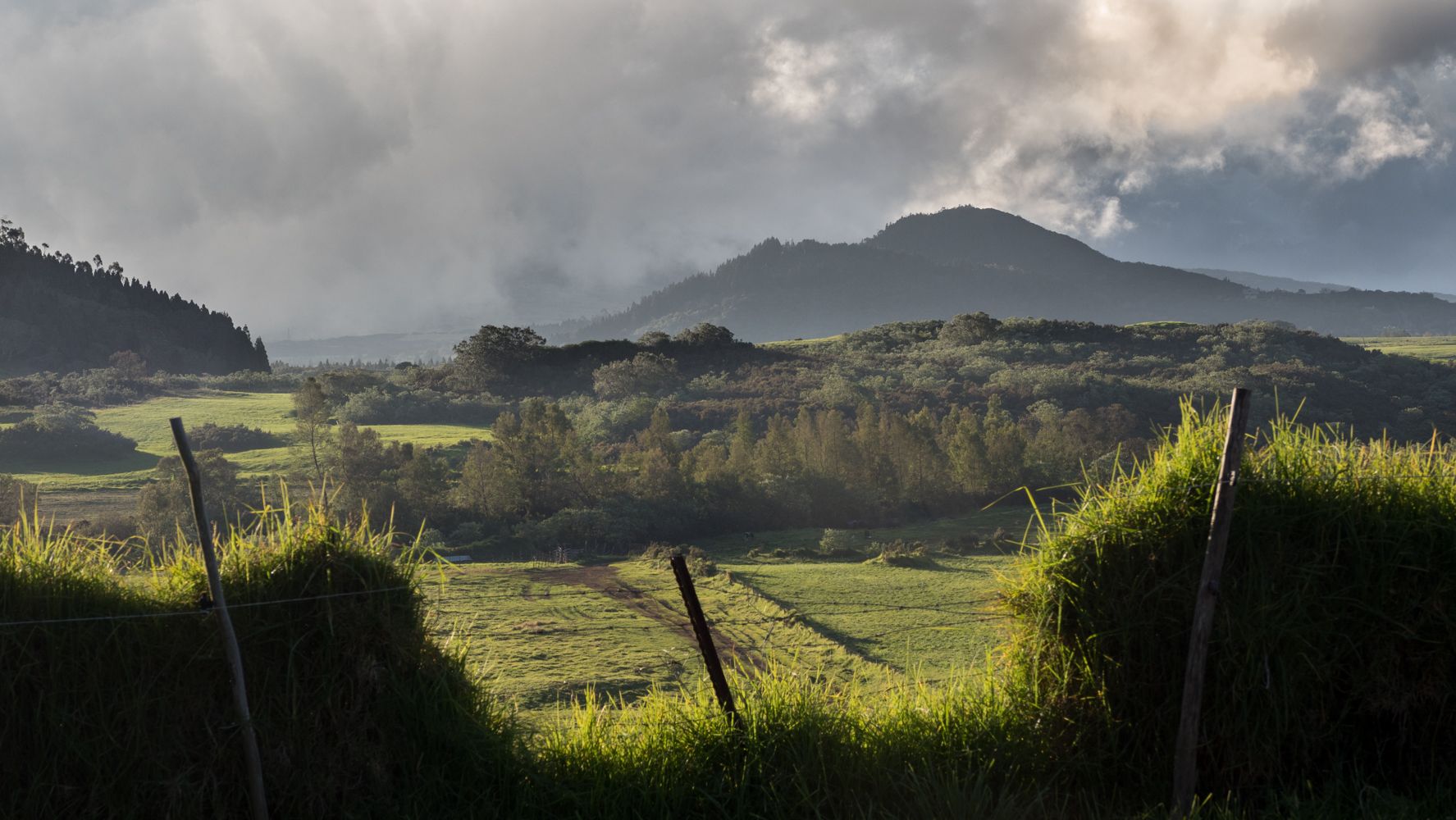Chemin Mathias, Reunion