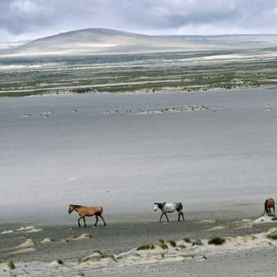 Close to Villa Pehuenia, Argentina