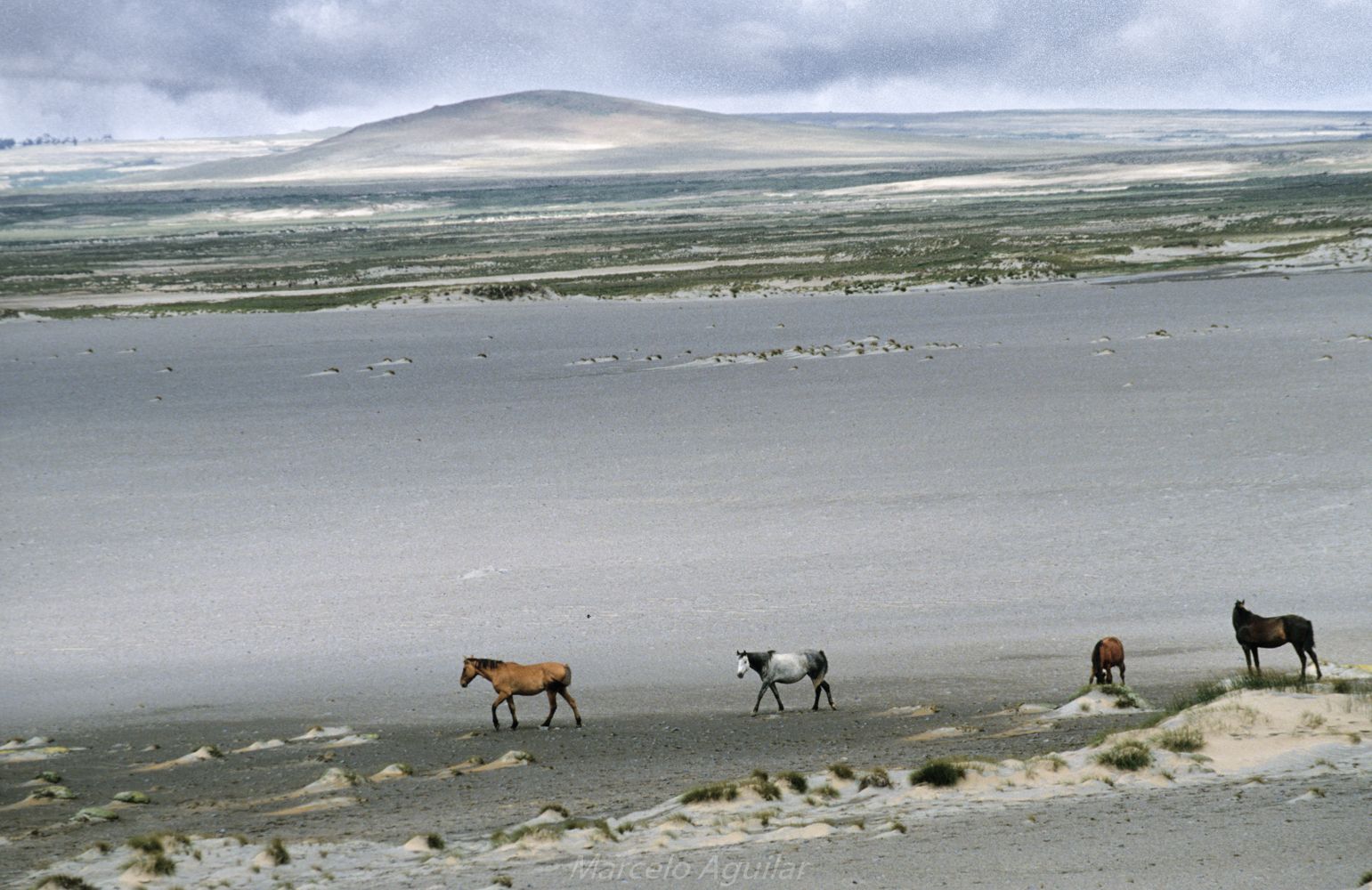 Close to Villa Pehuenia, Argentina