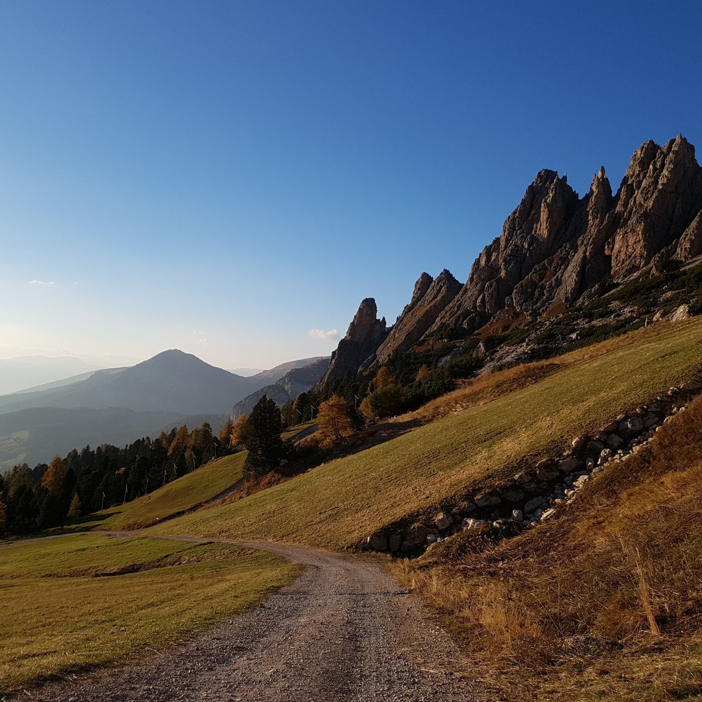 Dantercepies, Italy