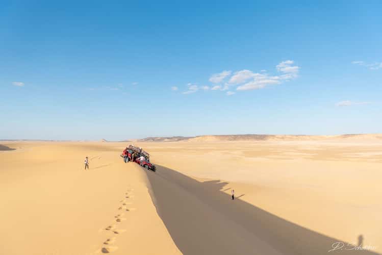 Desert tour
