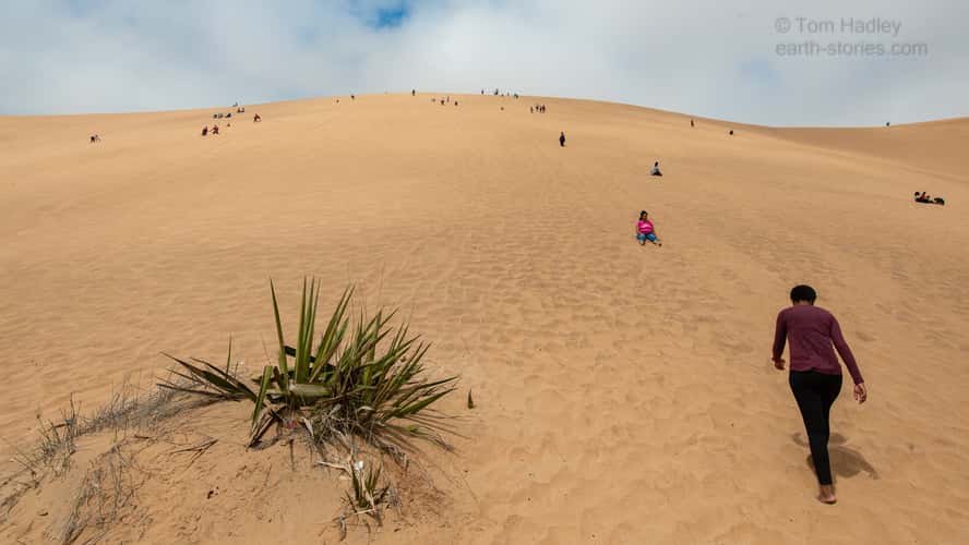 Dune 7