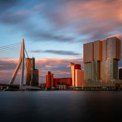 Erasmus Bridge (south view), Rotterdam, Netherlands