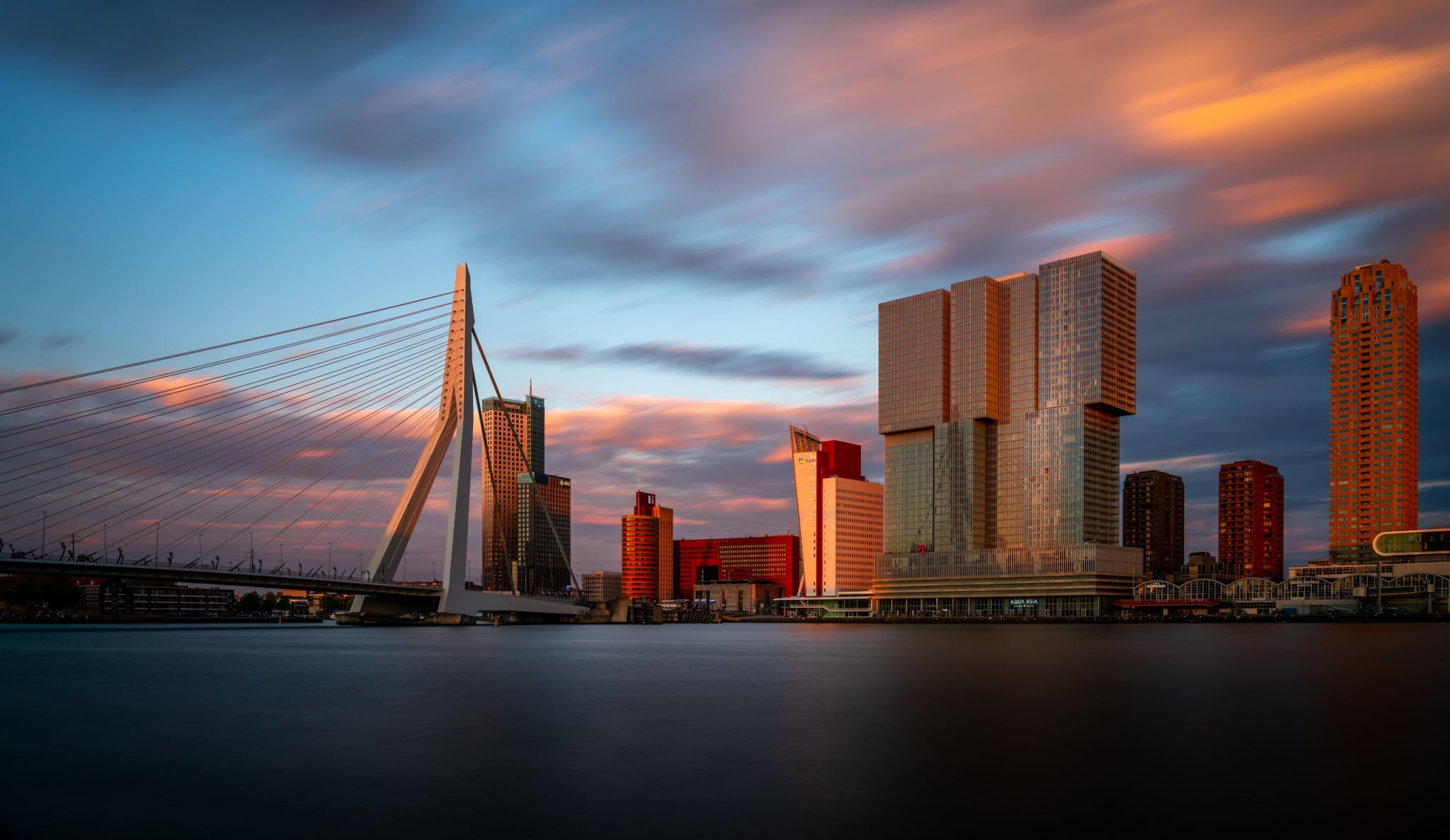 Erasmus Bridge (south view), Rotterdam, Netherlands