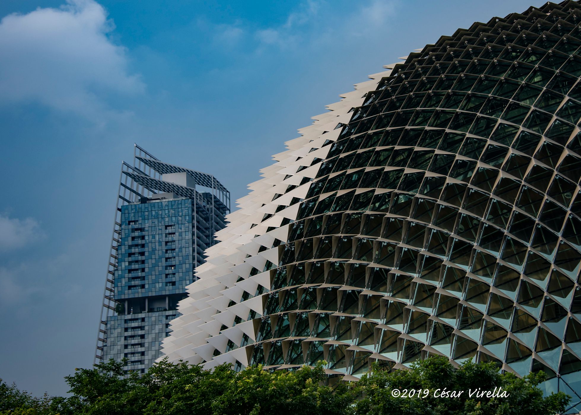 Close-Up of Esplanade Theater, Singapore