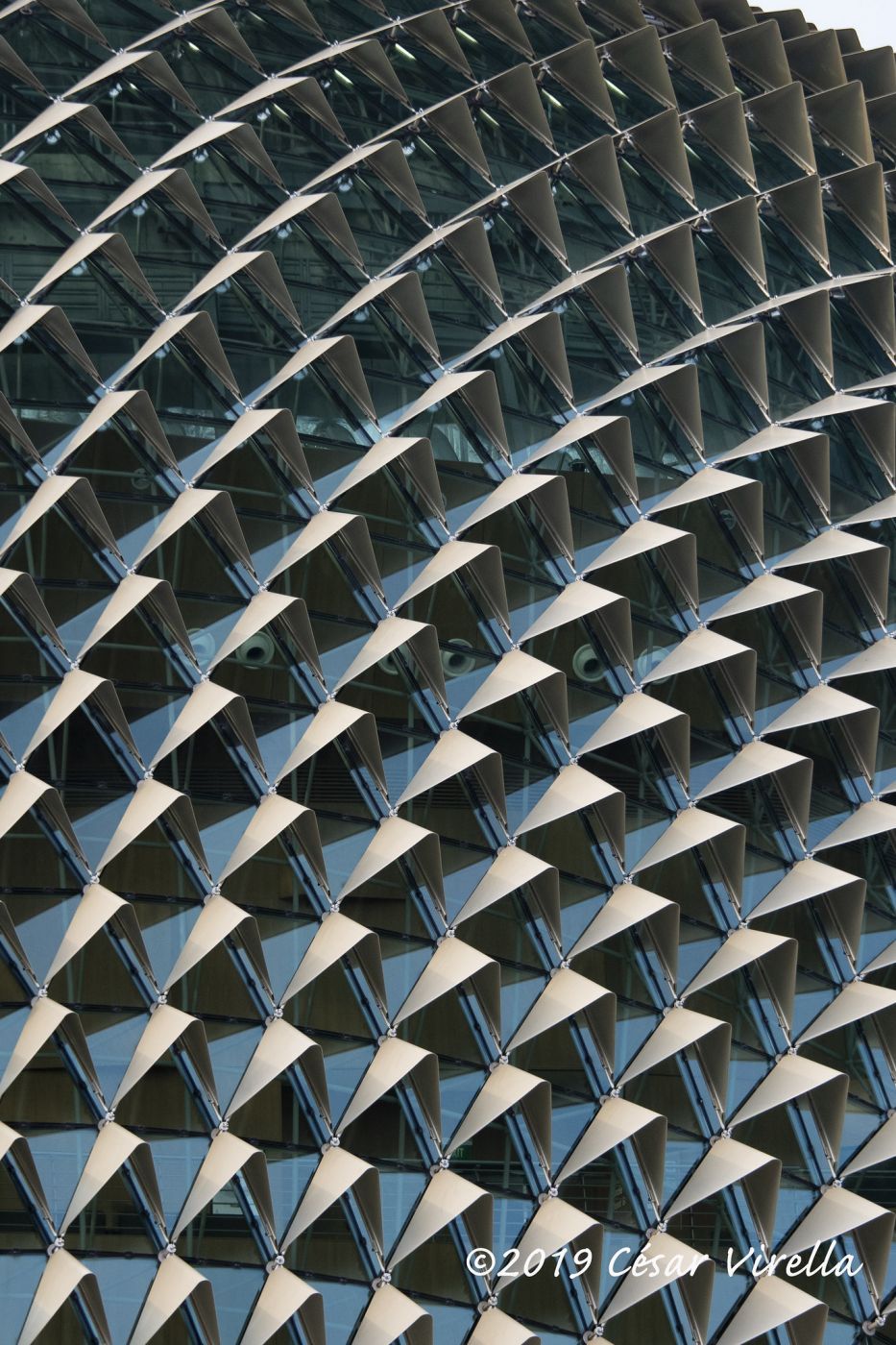Close-Up of Esplanade Theater, Singapore