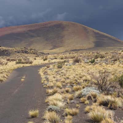 first steps in Payunia, Argentina