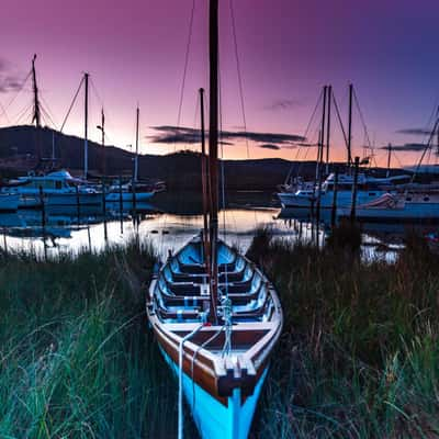 Franklin small sailing boat in long grass Tasmania, Australia