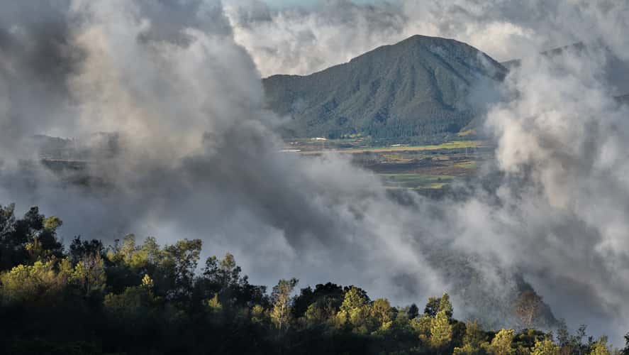 From the hut, la plaine des Cafres