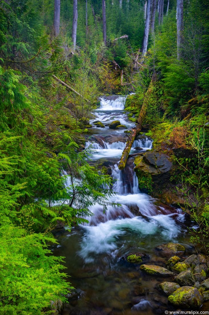 Gatton Creek Falls, USA