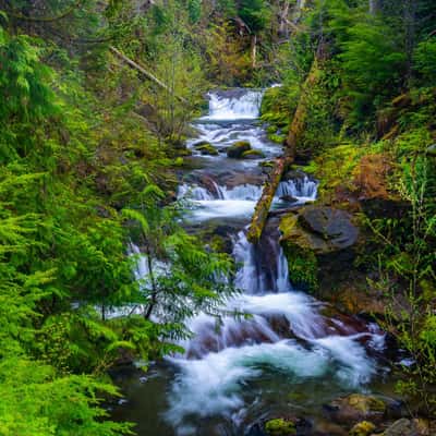Gatton Creek Falls, USA