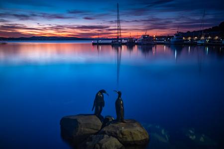 Hobart Harbour Penguins Statue sunrise Tasmania