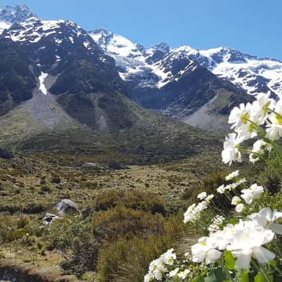 Hooker Valley, New Zealand