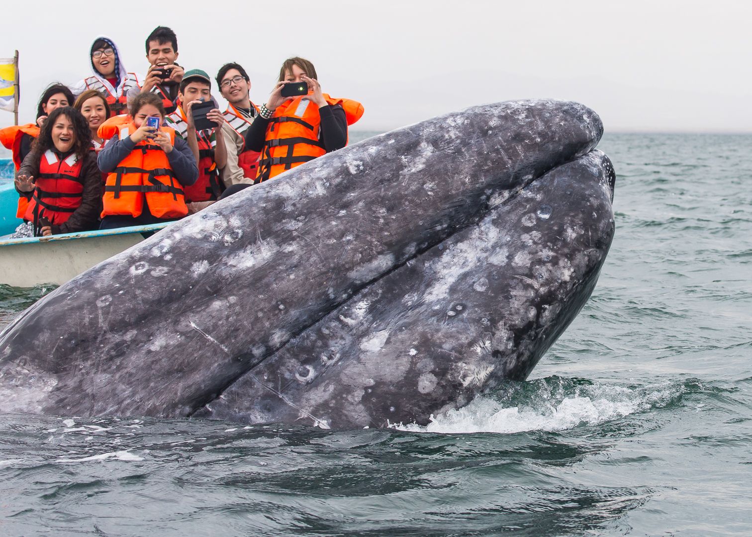 Kids watching the whales, Mexico