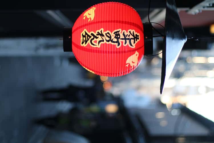 Kyoto Ponto-cho Lantern