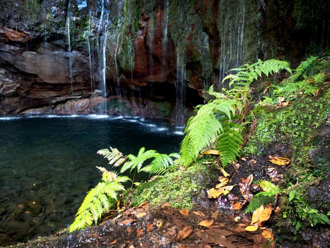 Lagoa 25 Fontes