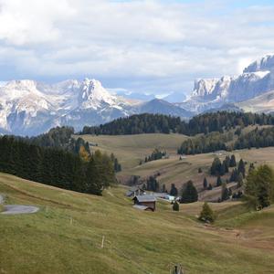 Le'Alpe di Siusi, St. Ulrich - Forcella Sassolungo