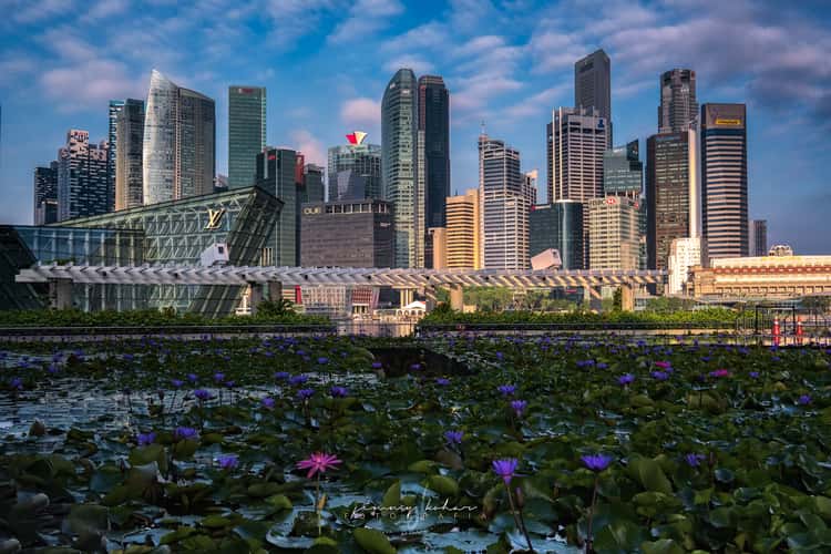 Singapore Skyline
