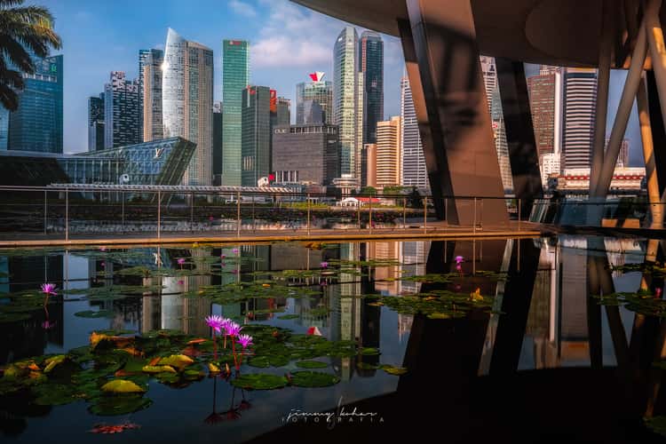 Singapore Skyline