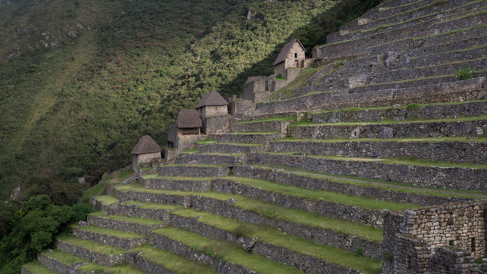 Machu Picchu terraces, Peru
