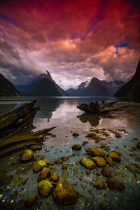 Milford Sound Sunrise at low Tide South Island