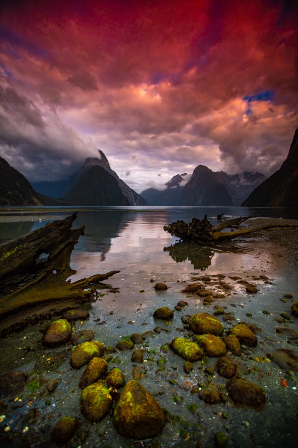Milford Sound Sunrise at low Tide South Island, New Zealand