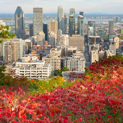 Mont-royal's observatory, Canada