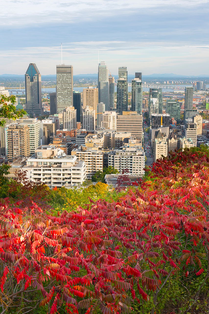 Mont-royal's observatory, Canada
