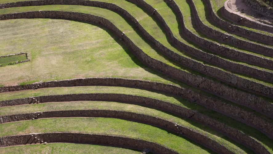 Moray