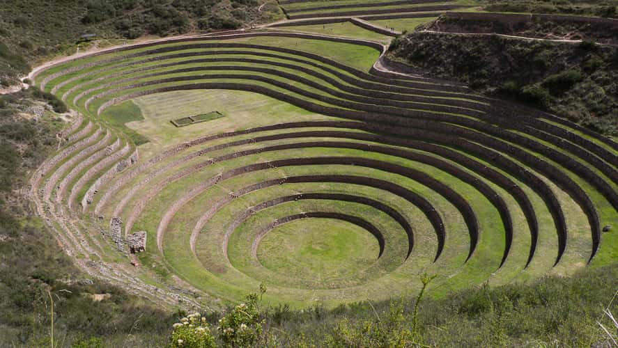Moray