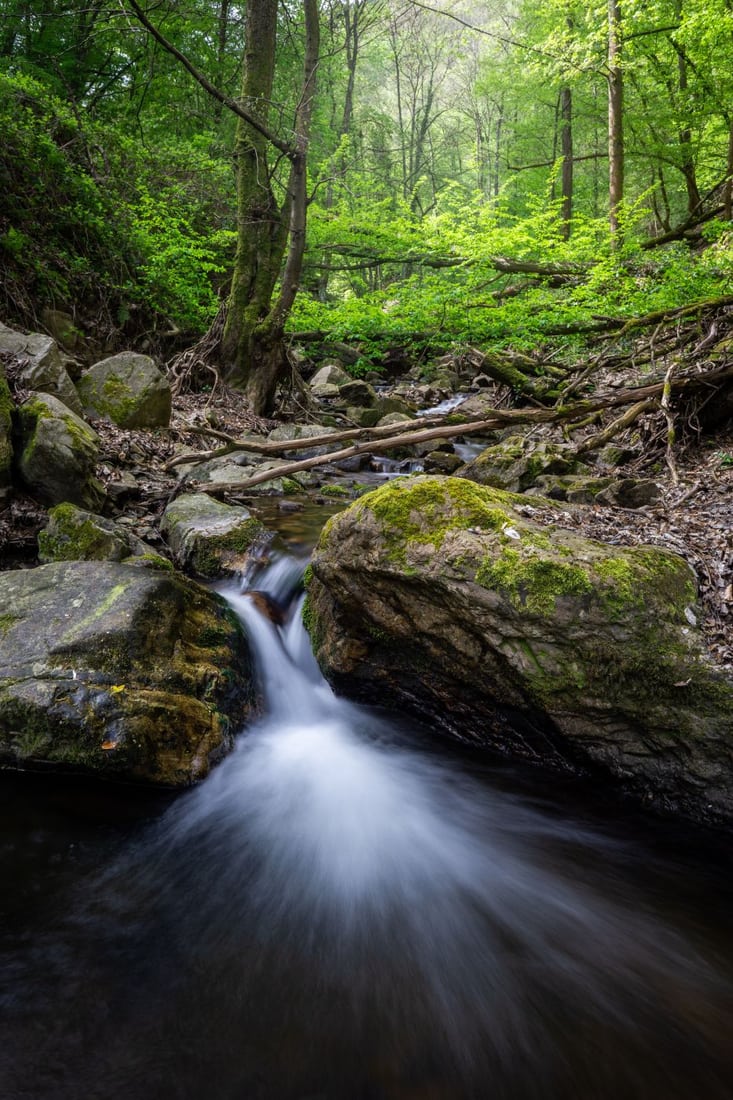 Morgenbachtal, Germany