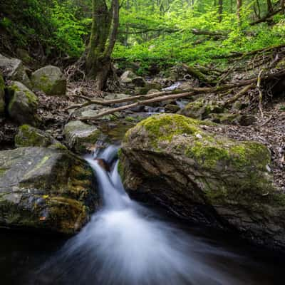 Morgenbachtal, Germany