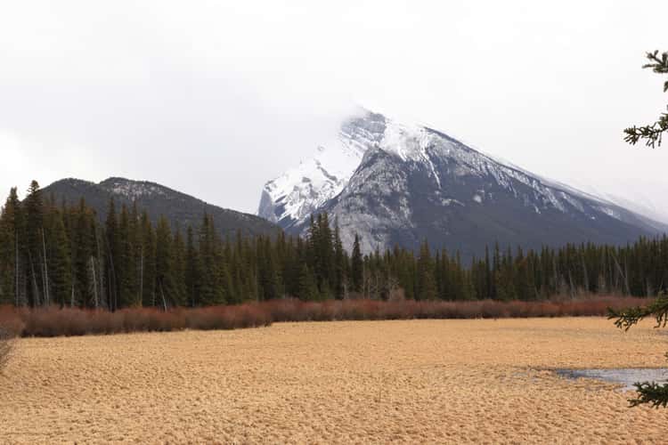 Mount Rundle from Vermillion Lakes