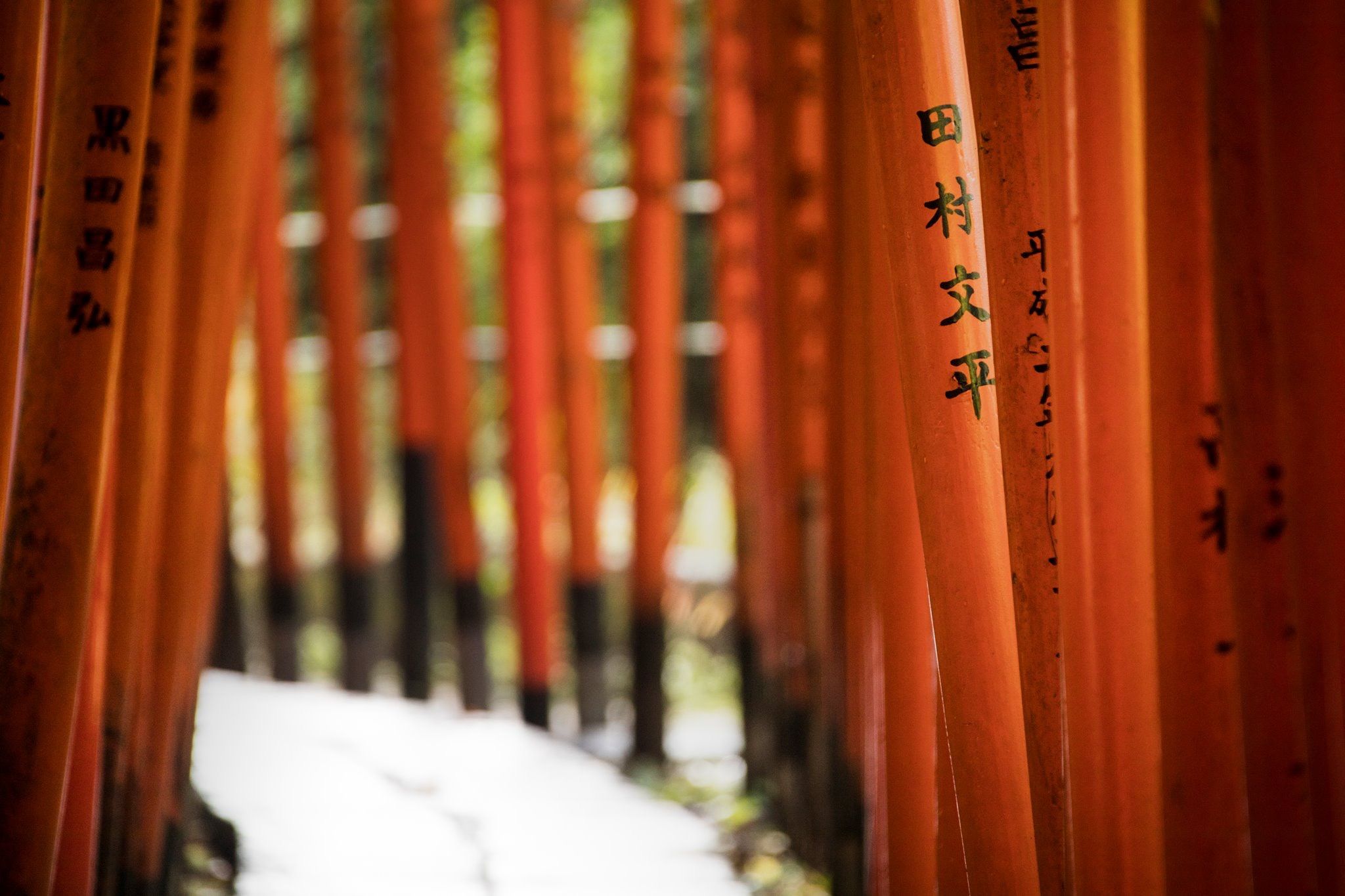 Nezu Shrine, Japan