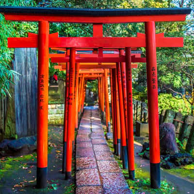 Nezu Shrine, Japan