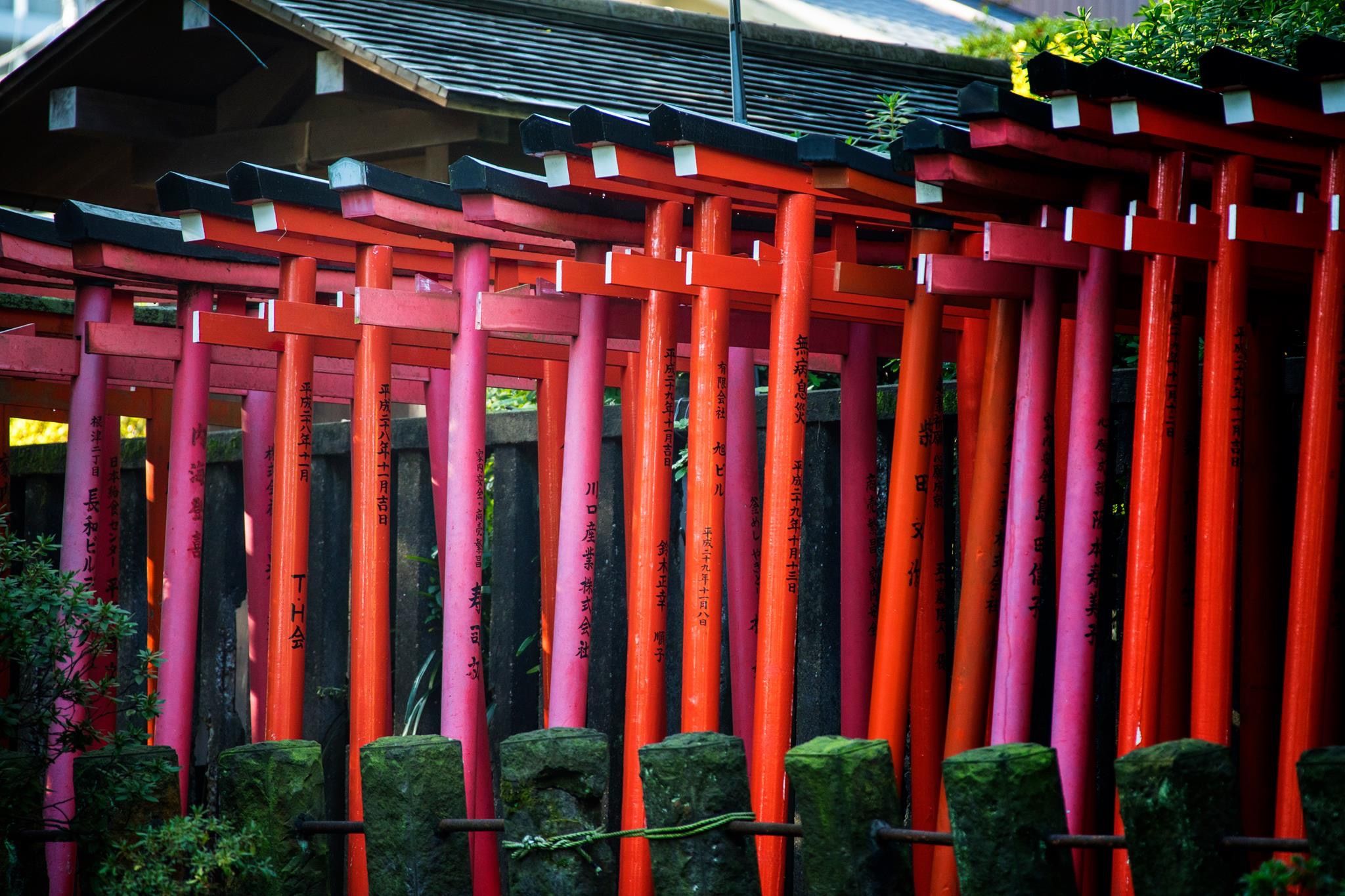 Nezu Shrine, Japan