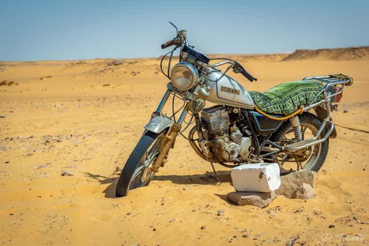 Oasis in the desert