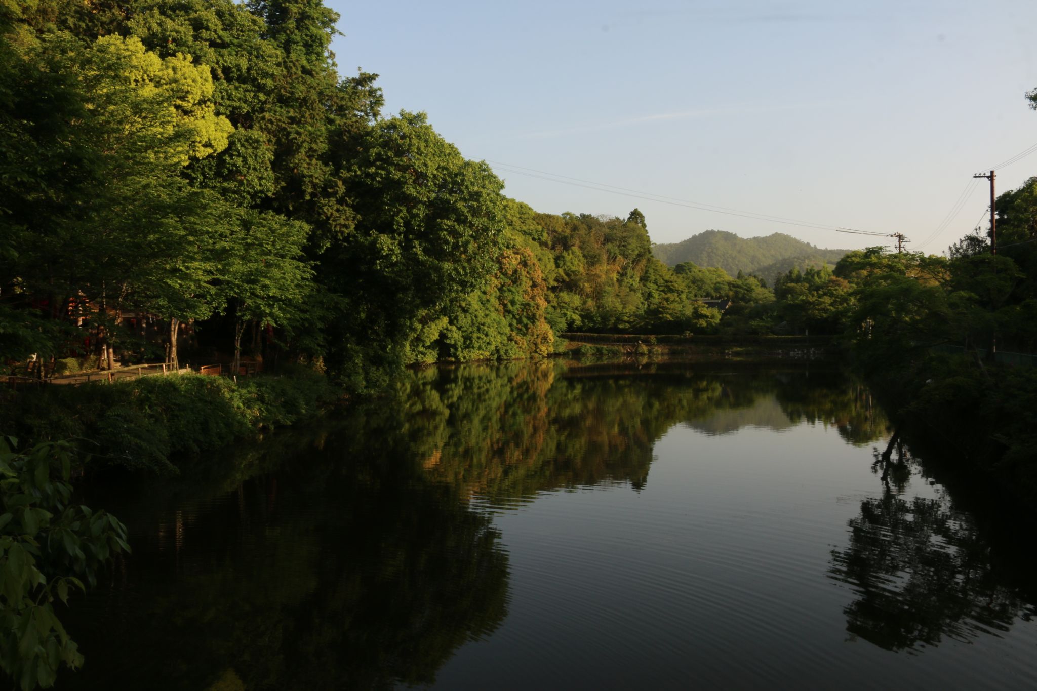 Ogura pond in the morning, Japan