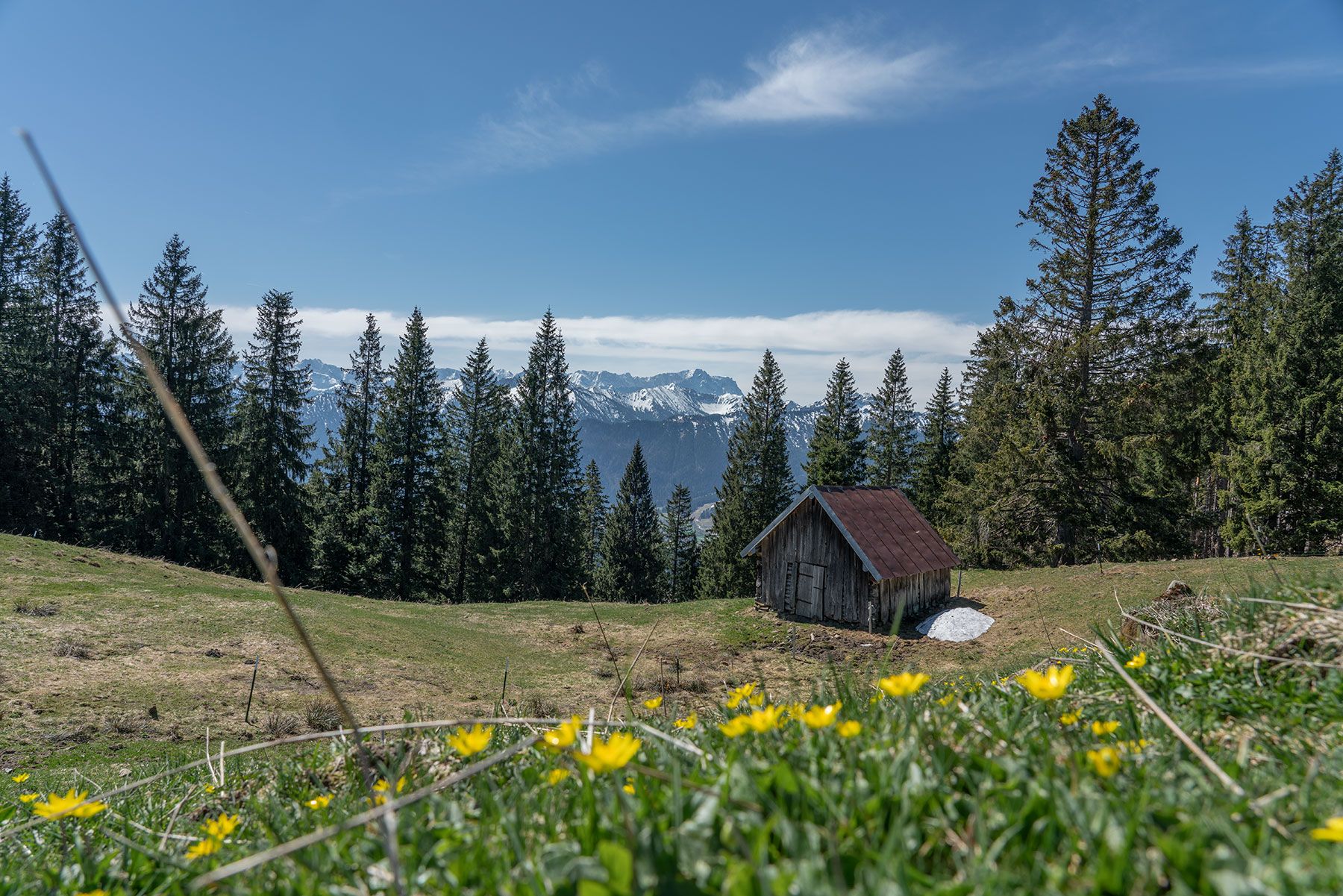 Panorama view at Hörnle, Bad Kohlgrub, Germany