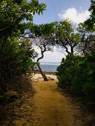 Path to paradise