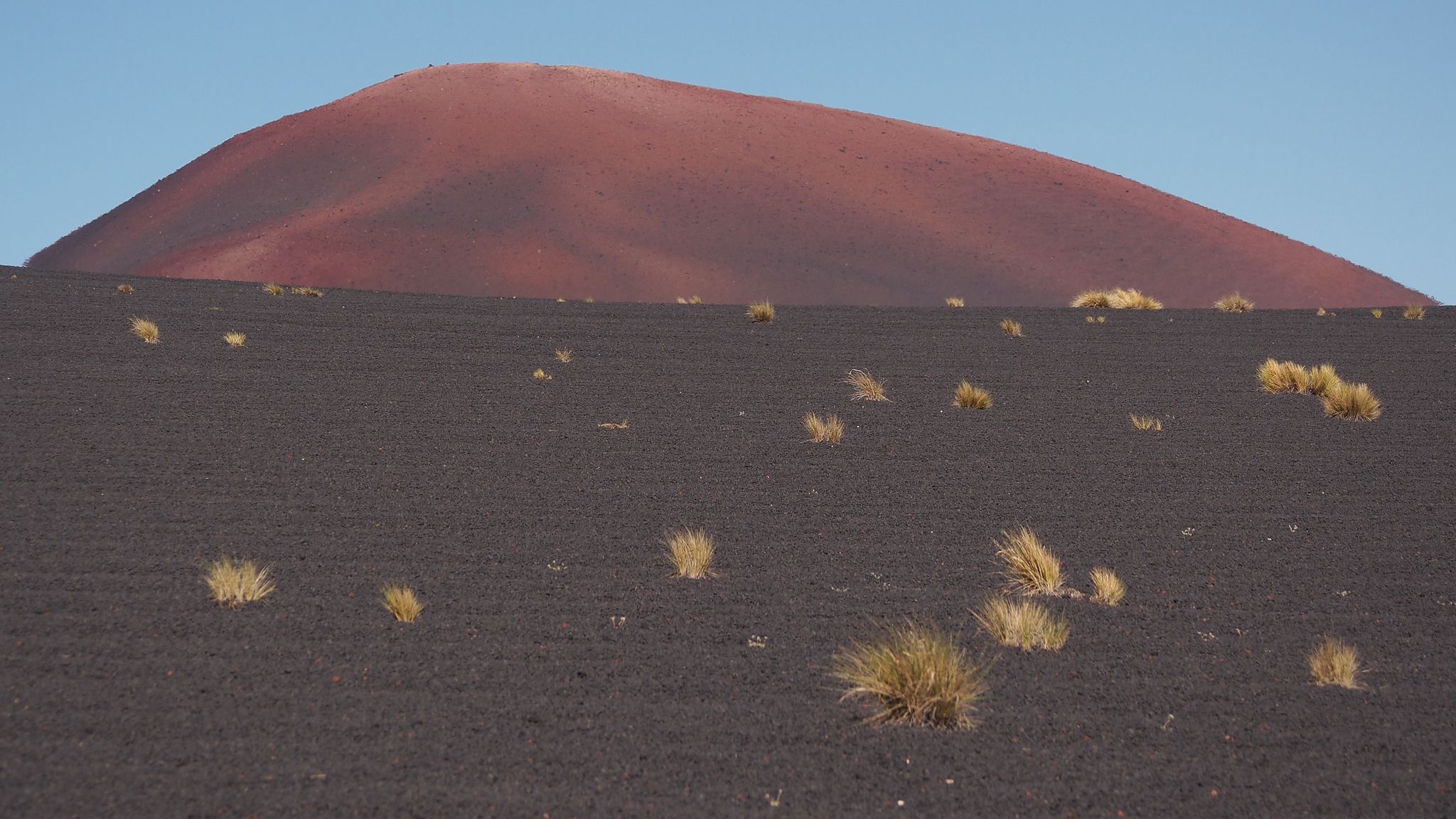 payunia, Argentina