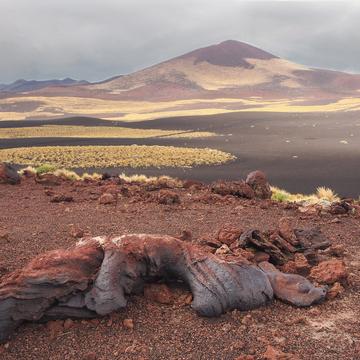 payunia lava fields, Argentina