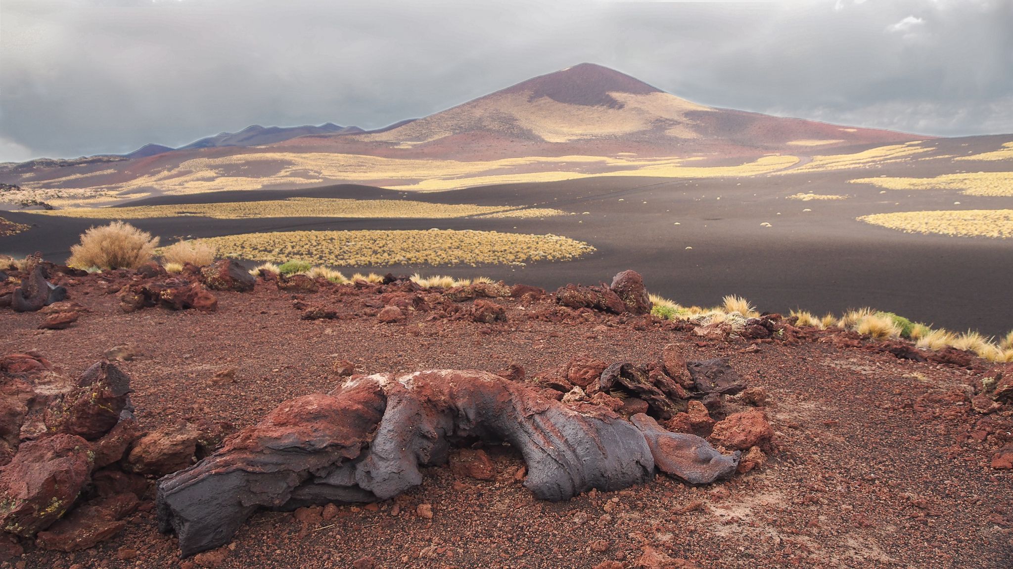 payunia lava fields, Argentina