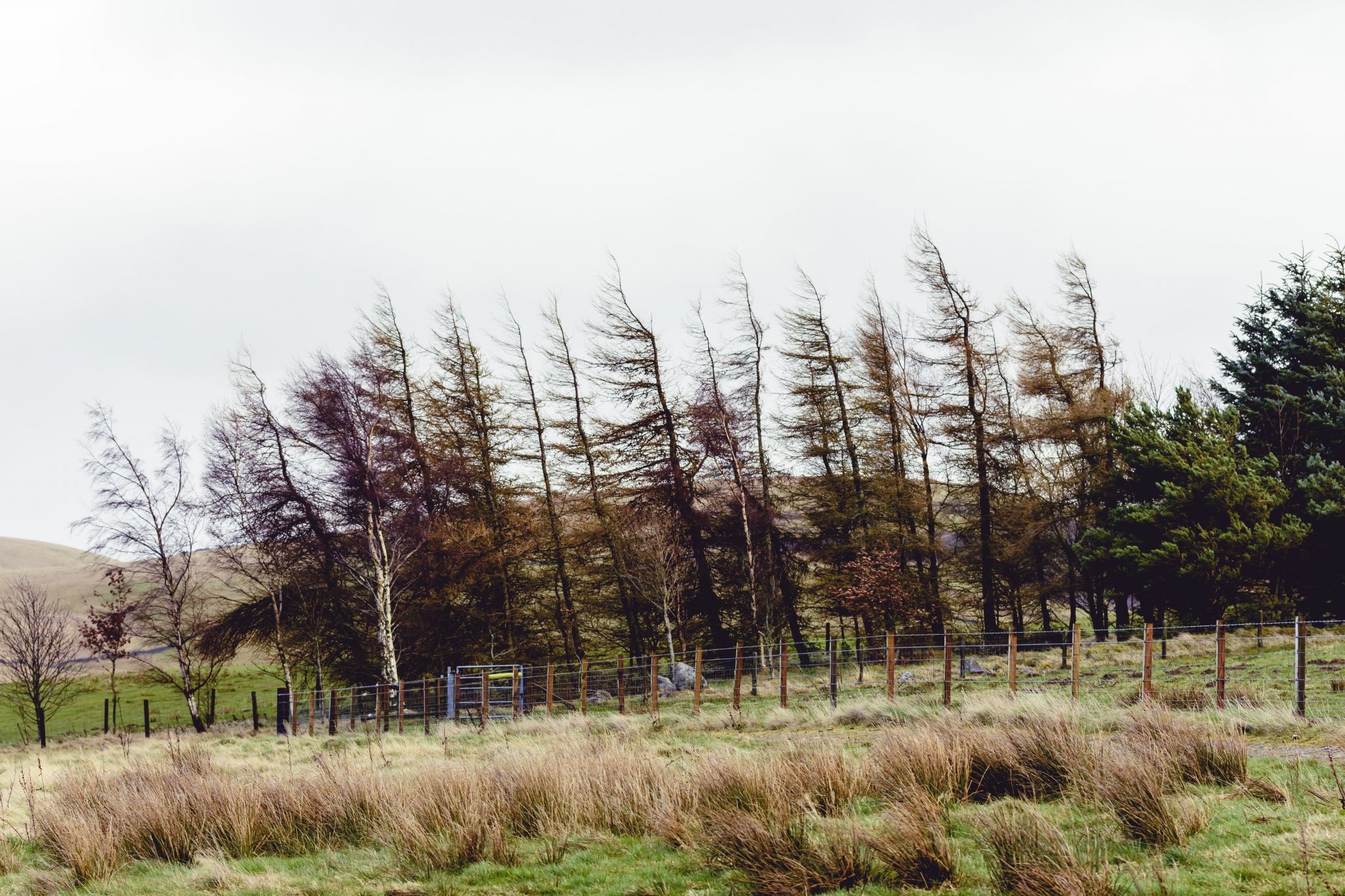 Pentlands, United Kingdom