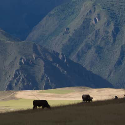 Play of lights near Maras, Peru