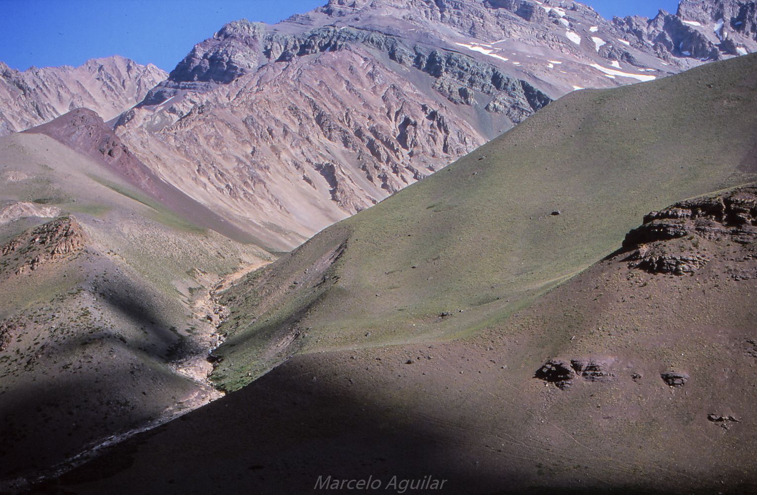 Punta de vacas, Argentina