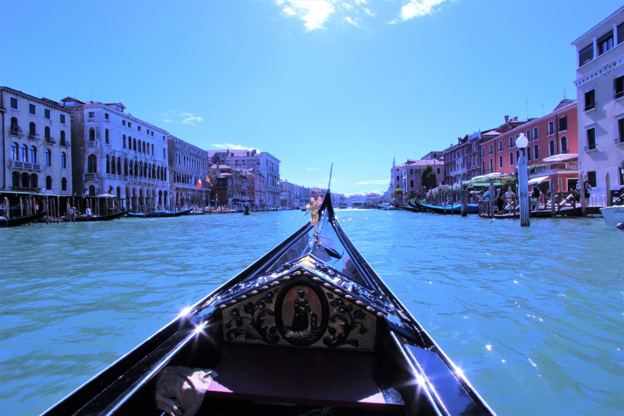 Rialto Bridge View, Italy