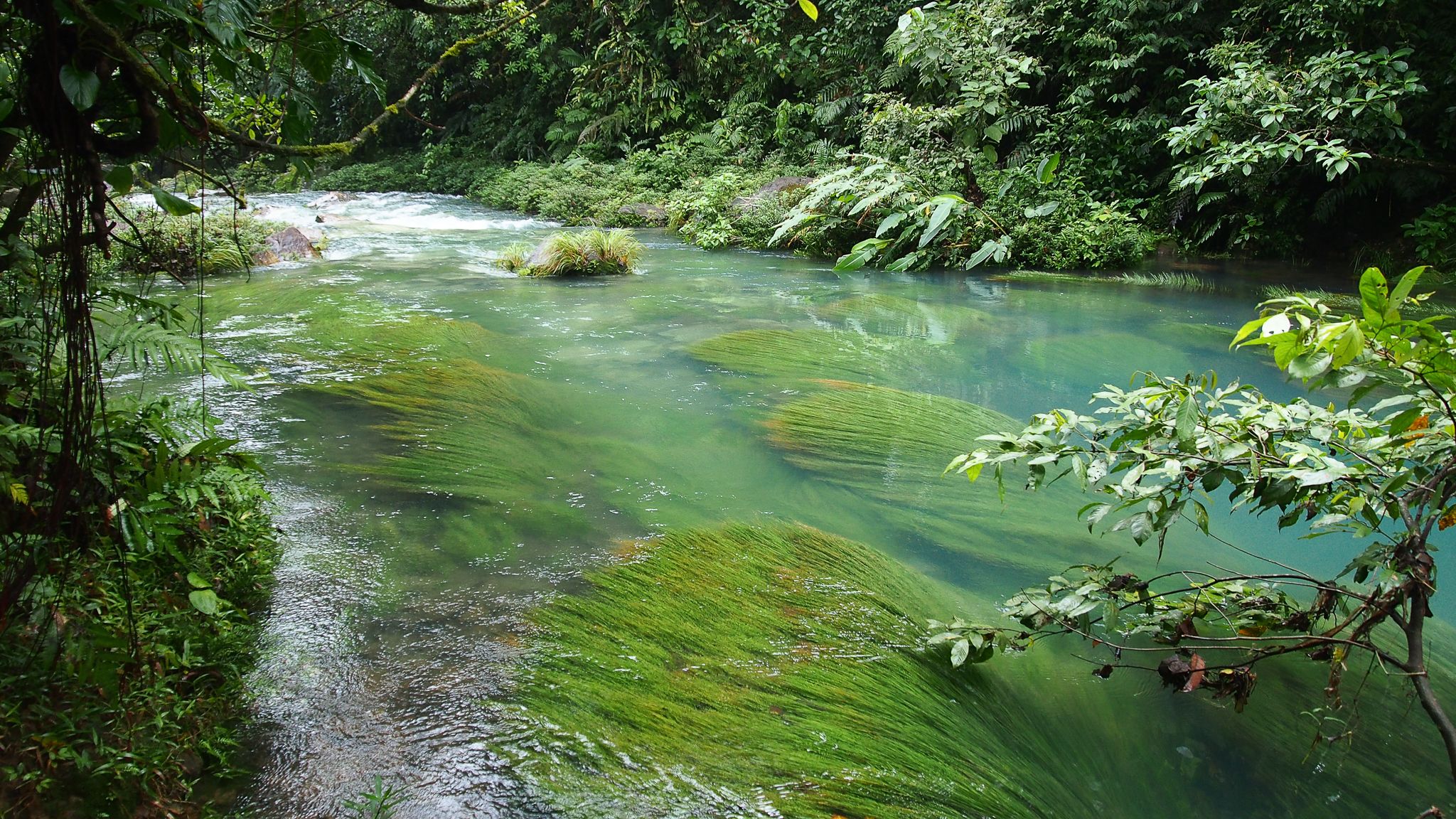 Rincon de la vieja national park, Costa Rica